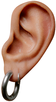 An ear
